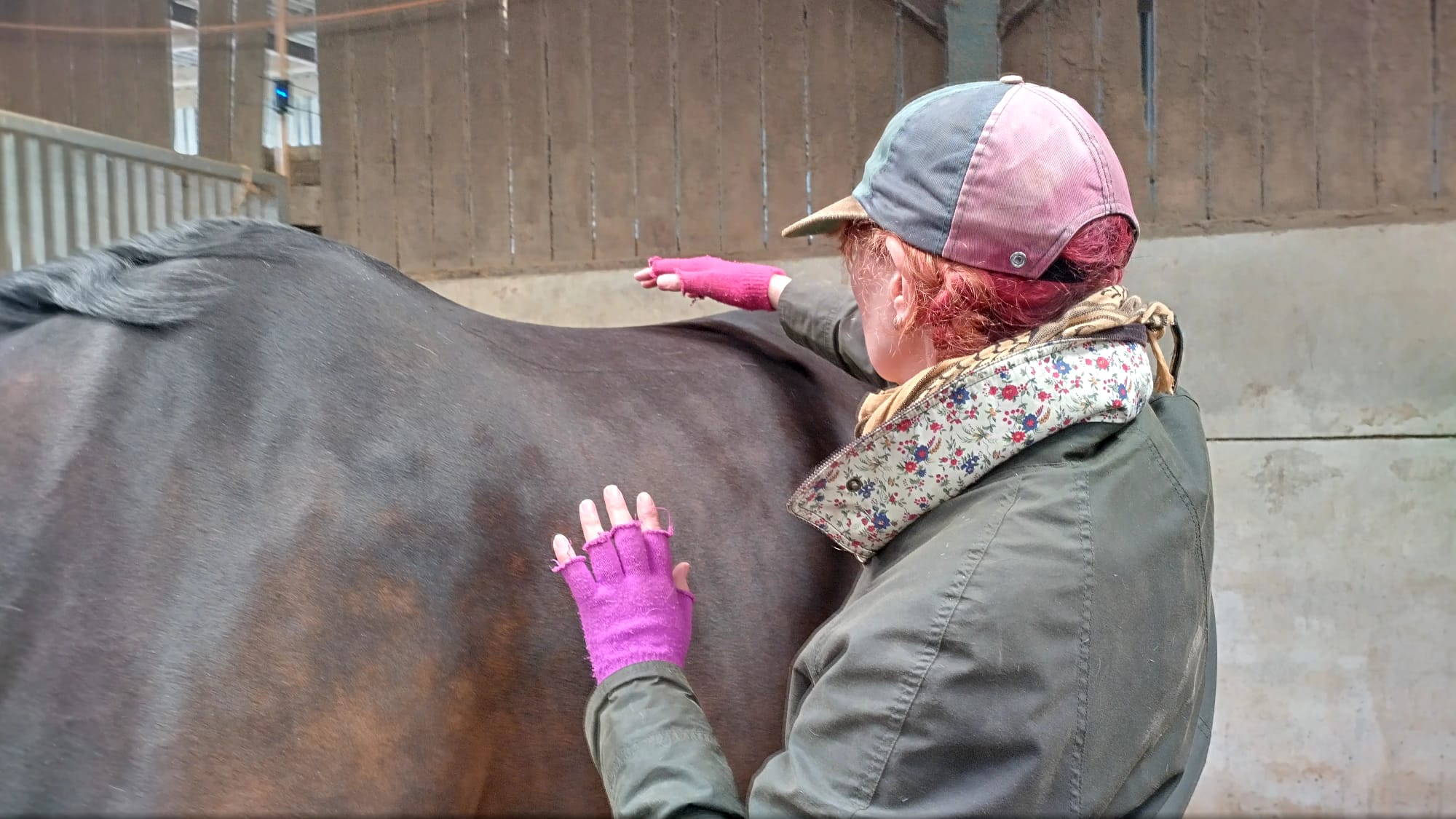 Alison giving Reiki to a horse