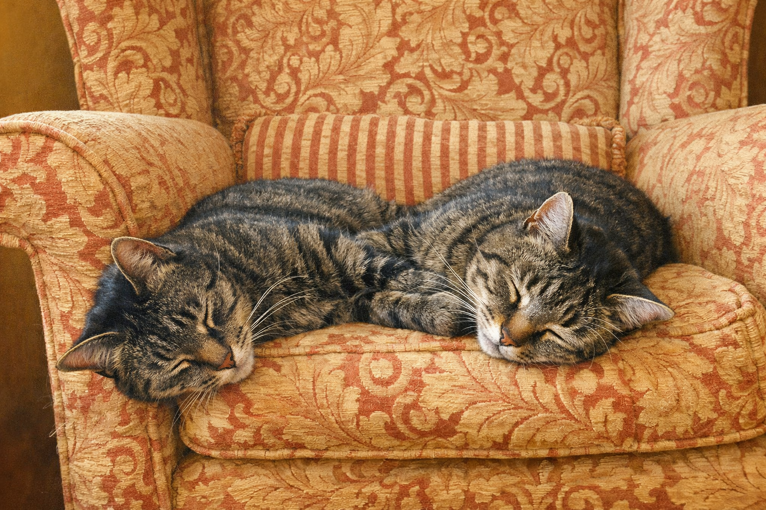 harry-and-alfie-after-reiki