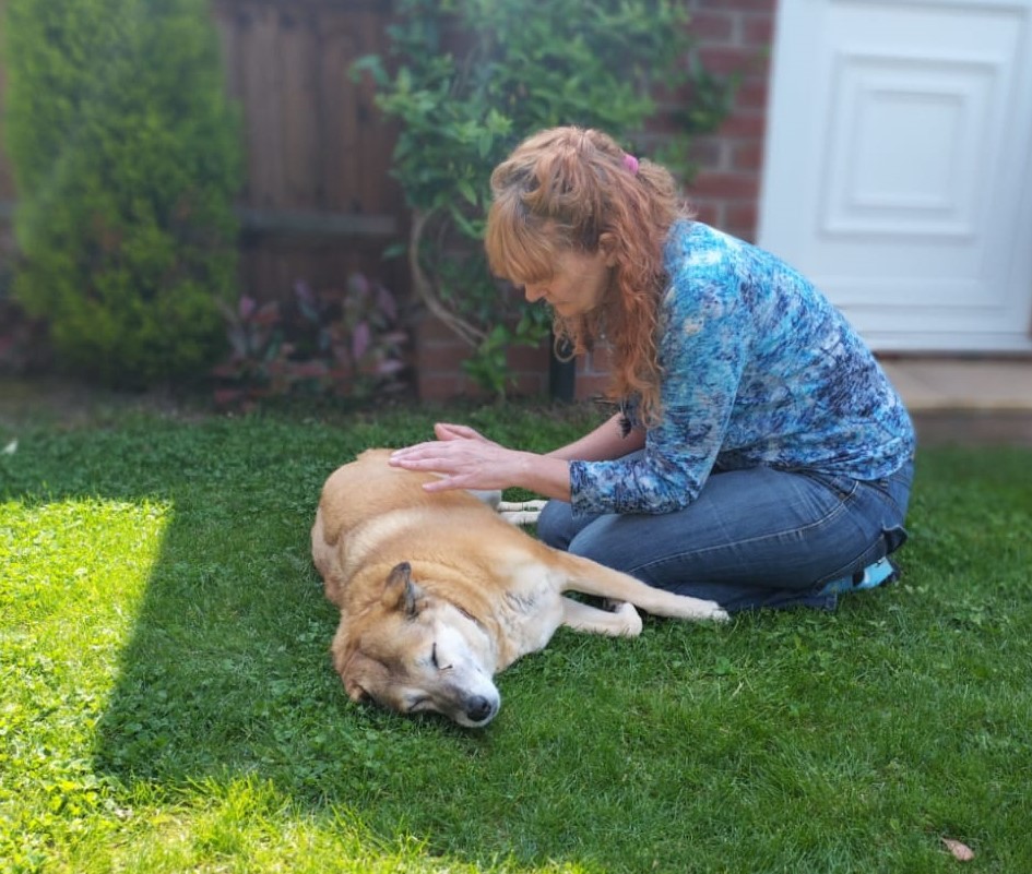 Alison giving Reiki to a horse